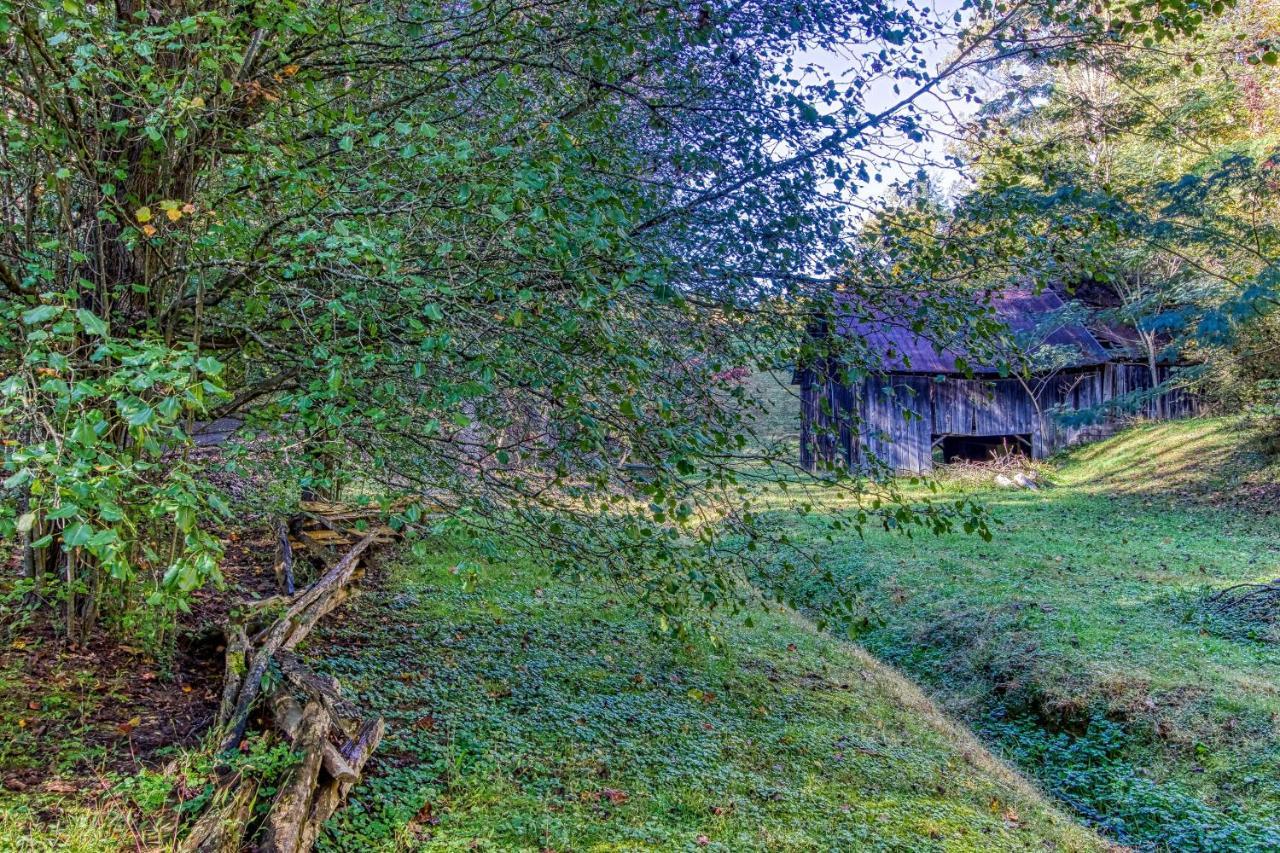 Cozy Creek Cabin Pigeon Forge Ngoại thất bức ảnh
