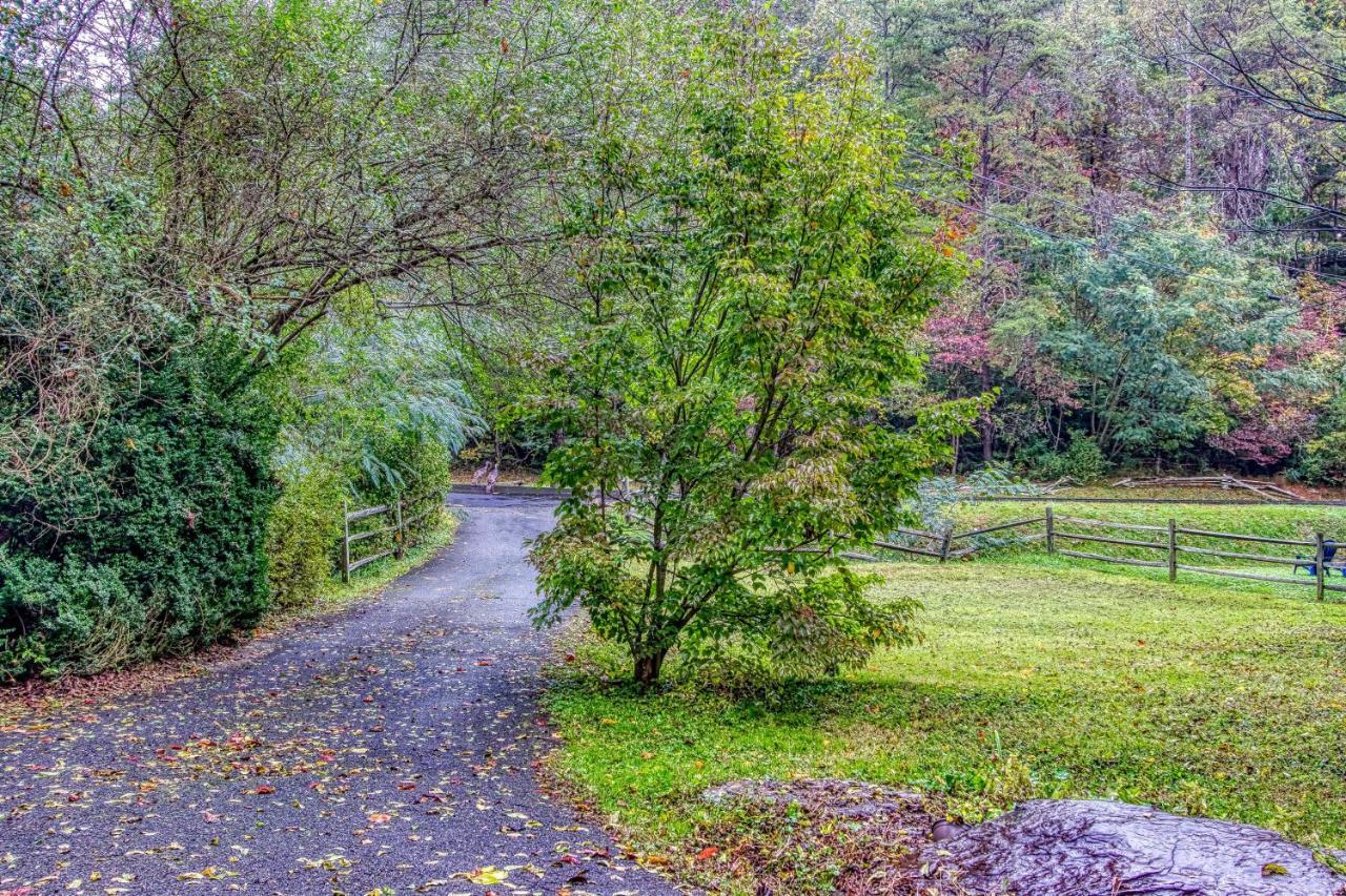 Cozy Creek Cabin Pigeon Forge Ngoại thất bức ảnh