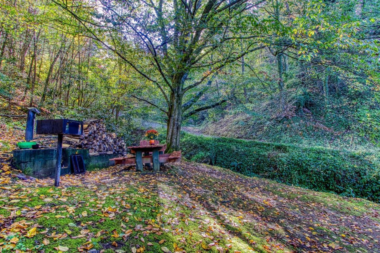 Cozy Creek Cabin Pigeon Forge Ngoại thất bức ảnh