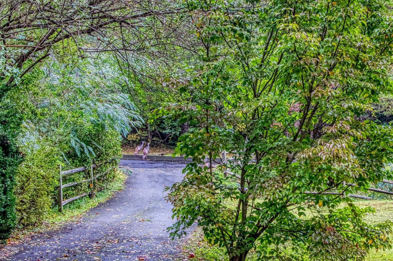 Cozy Creek Cabin Pigeon Forge Ngoại thất bức ảnh