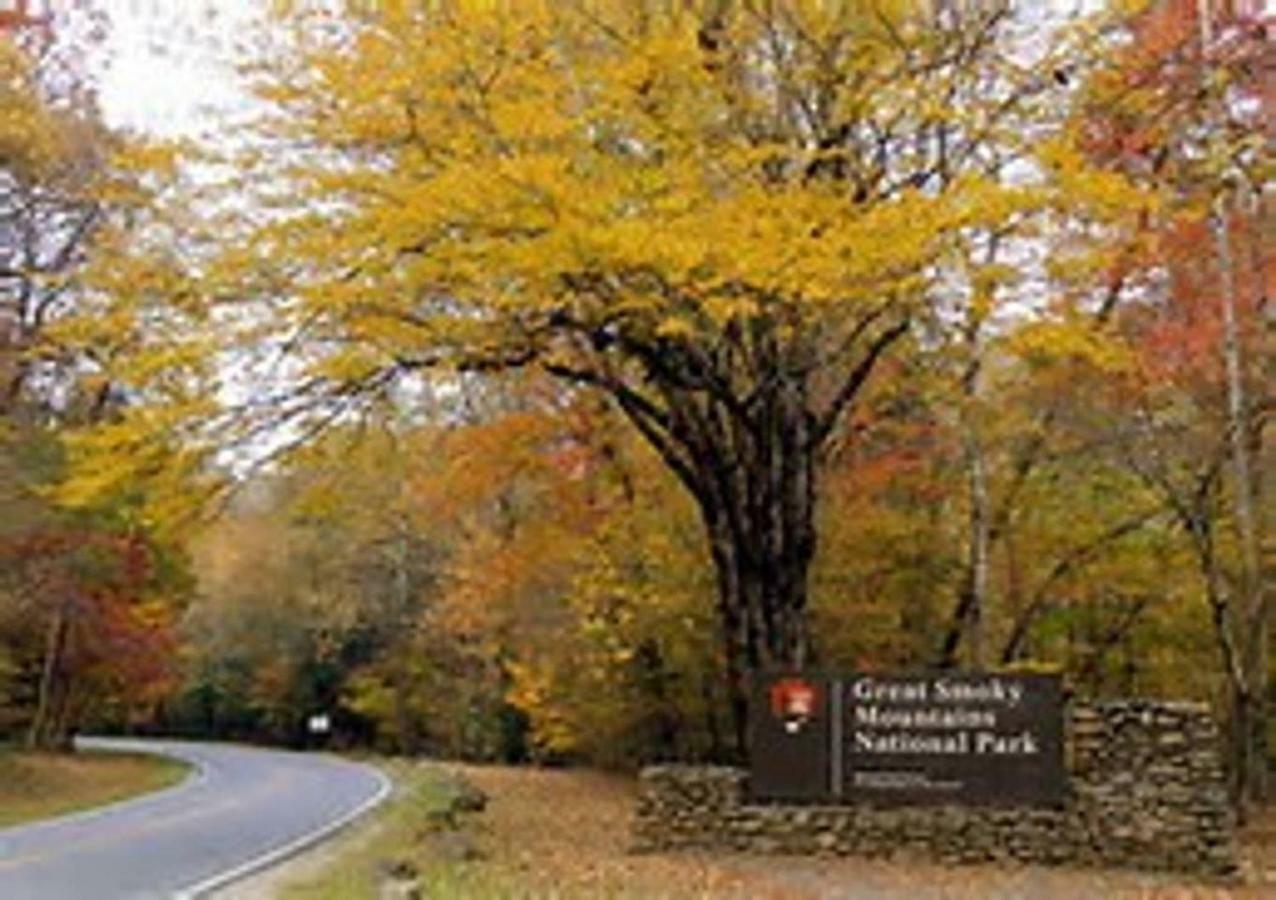 Cozy Creek Cabin Pigeon Forge Ngoại thất bức ảnh