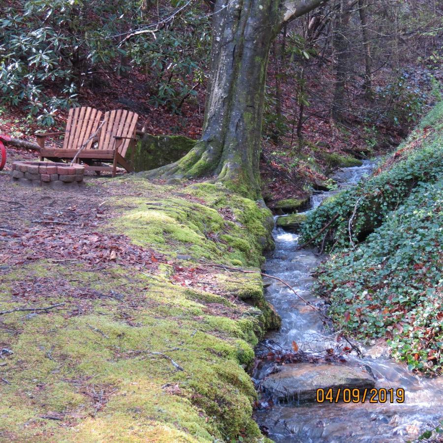 Cozy Creek Cabin Pigeon Forge Ngoại thất bức ảnh