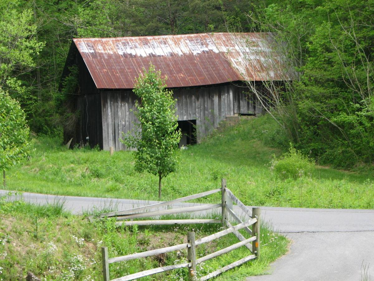 Cozy Creek Cabin Pigeon Forge Ngoại thất bức ảnh